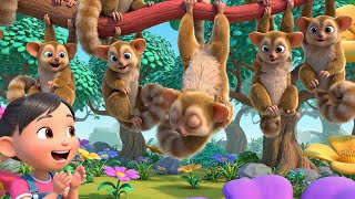Cinco Pequeños Kinkajous Columpio, Columpio | Rimas Infantiles y Canciones para Niños