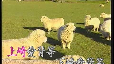 十七十八田庄女