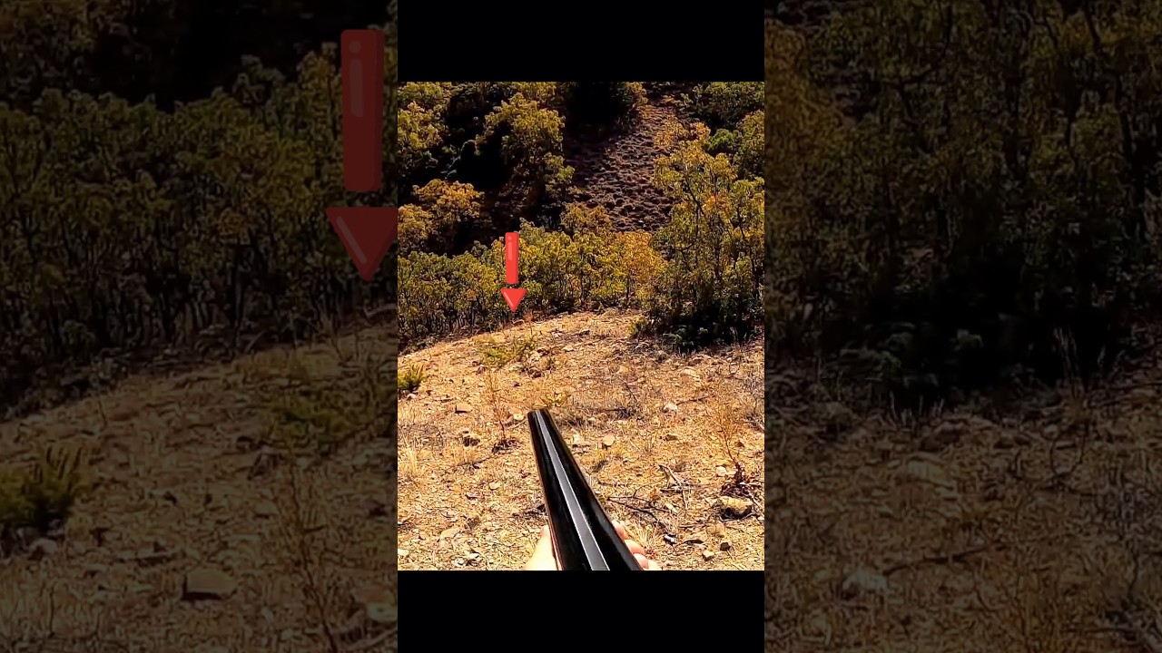 Охота на дикого кролика | Захватывающийэпизод охоты