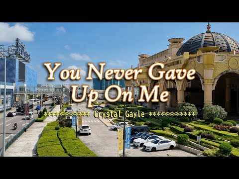 Video thumbnail for YOU NEVER GAVE UP ON ME - - in the style of Crystal Gayle