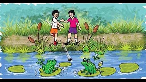 Write well 1&2, Class: 4, Unit: 23&24, Page: 47,48,49. (Reading passage)