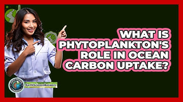 What Is Phytoplankton