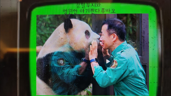 강할부지와 영원한 아기판다 푸바오 ( 다른할부지들도 출현합니다^^)