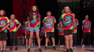 Elementary Spring Show 2017 - 3