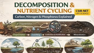 Decomposition & Nutrient Cycling