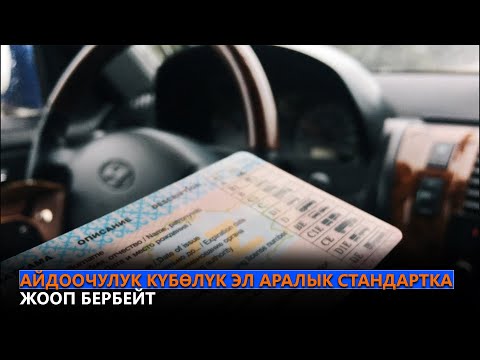 Video: Эл аралык айдоочулук күбөлүк кандай?