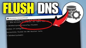 How To Flush DNS Cache in Windows 11 (2025)