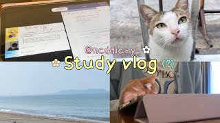 study vlog | เรียน,ปิดเทอม,เที่ยว,พักผ่อน ⋆𐙚₊˚