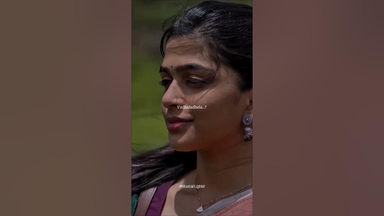 Parichayamila song | From 8 Vasanthalu movie.....