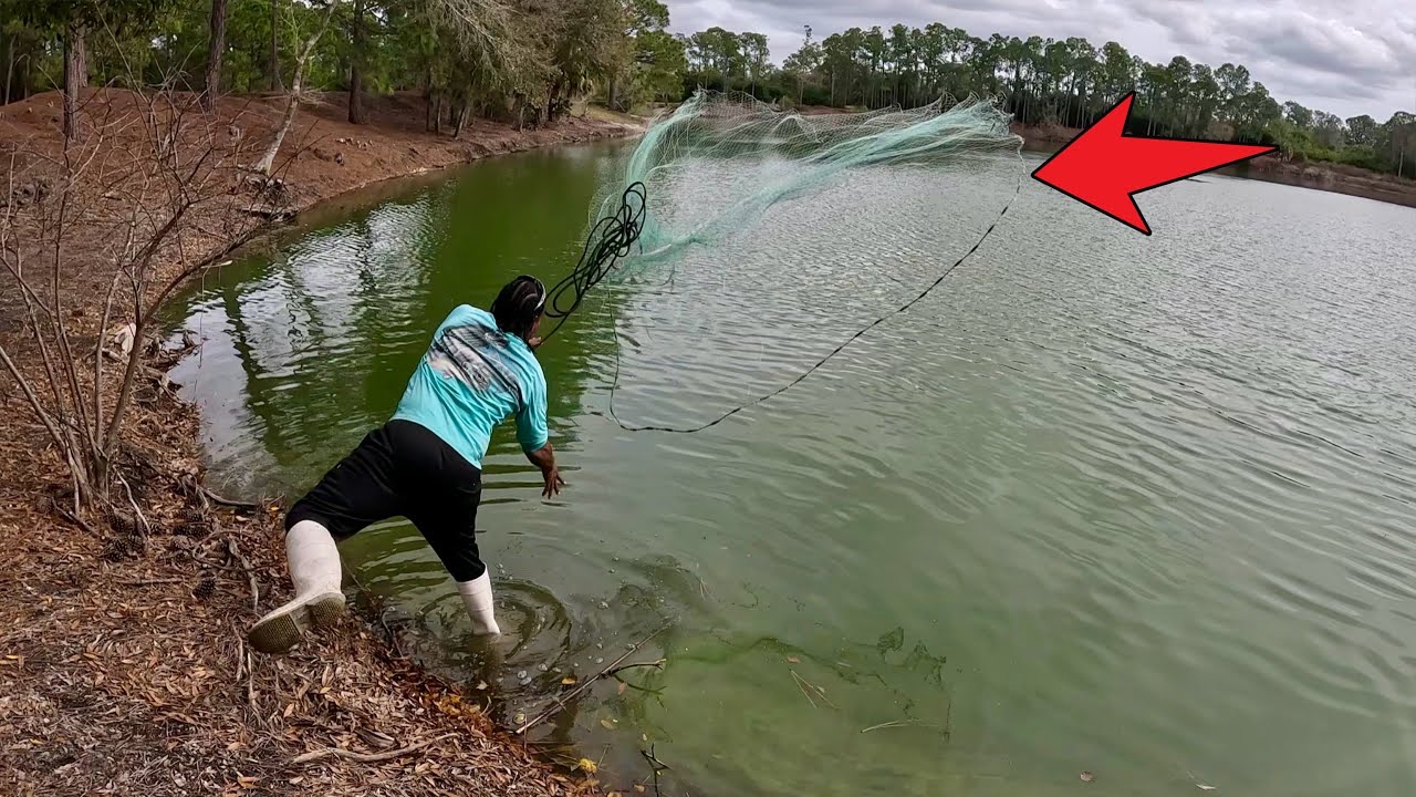 Florida's Invasive Fish Expert Netting, Catch, and Cook Adventure! 