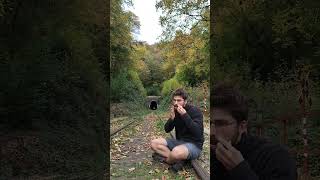 Guimbarde automnale