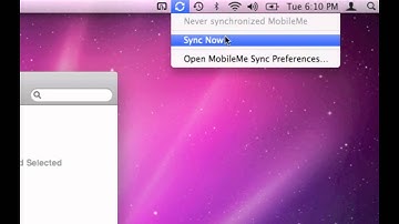 Syncing Google Contacts to the Apple Address Book (OS X 10.6)