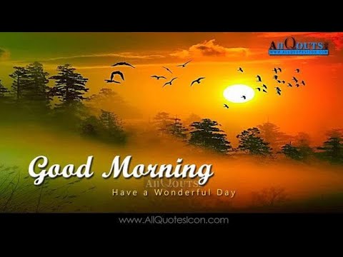 good morning video download in hindi songs good morning video download in hindi songs
