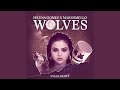 Miniature de la vidéo de la chanson Wolves (Sneek Remix)