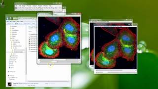 Fiji Is Just ImageJ - Data vs Picture