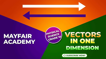 Vectors in one dimension | Physical Science Grade 10