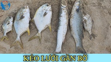 Kéo Lưới Gần Bờ Mùa Biển Động  Gặp Cá Chim, Cá Đối Cồi...| Tiến Bens - Fishing | 4K
