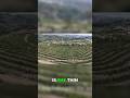 Why These Coffee Farmers Live In Volcanic Crater!