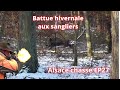 Battue hivernale aux sanglier: beaucoup d&#39;action!Druckjagd auf Wildschwein-Wild Boar Driven Hunt