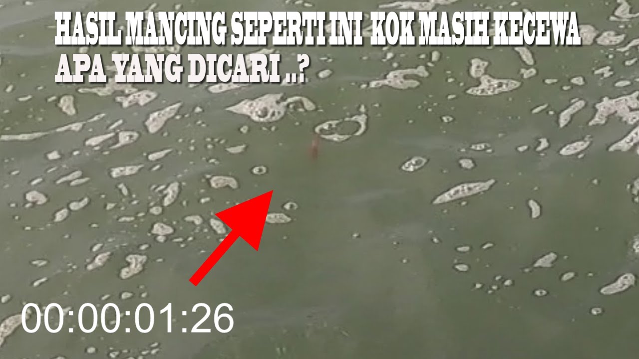 Strike Kilat ! Mancing Belanak Di Tepi Laut / Fun & Fast Fishing For Mullets