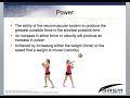 NASM Chapter 13 Resistance Training