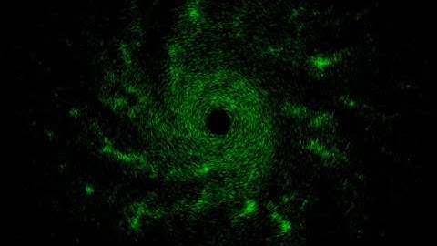 Barnes-Hut Simulated Gravitational Clumping