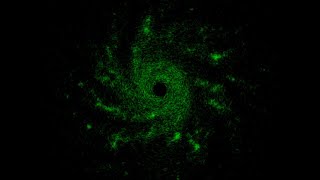 Barnes-Hut Simulated Gravitational Clumping
