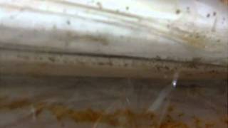 DSCF7488.AVI