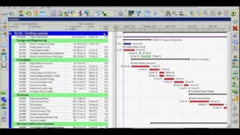 Oracle® Primavera P6 PPM - Group and Sort by Month