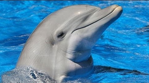 DLD Fun] Sequential Latches and Flip Flops 2/3