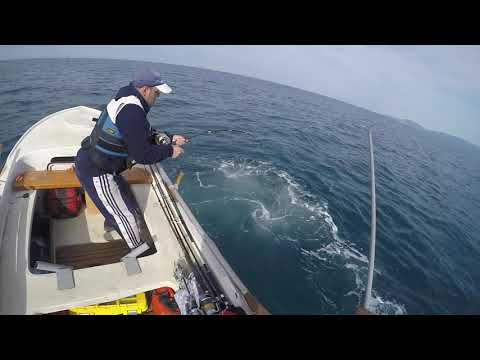 Trolling Bluefin Tuna 50.5kg - 10.Maj.2020