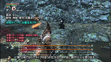 ブラッドボーン 育て方