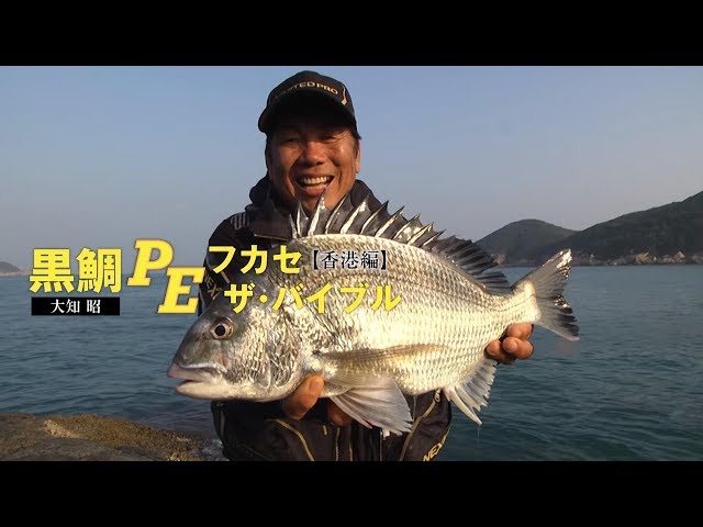 黒鯛PEフカセ・ザ・バイブル 香港編［白チヌを浮かせろ！極限パワー
