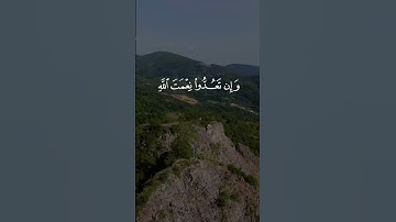 وآتَاكُم مِّن كُلِّ مَا سَأَلْتُمُوهُ | تلاوة خاشعة بصوت الشيخ المنشاوي