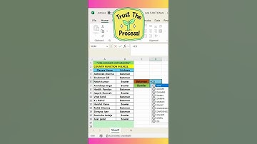 How to use COUNTIF Function in Microsoft Excel - For Beginners