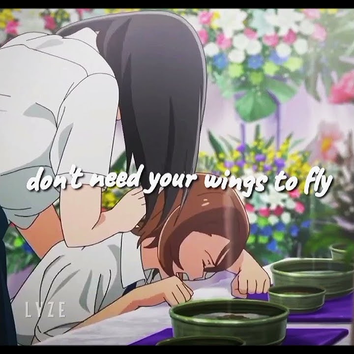 I want to Eat your Pancreas「AMV」Cash Cash Slowed