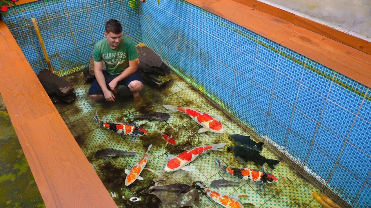 Tanque De Peixes De Maiô Feminino (Revolução)