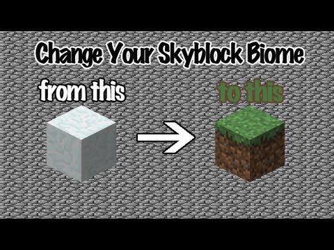 Skyblock minecraft