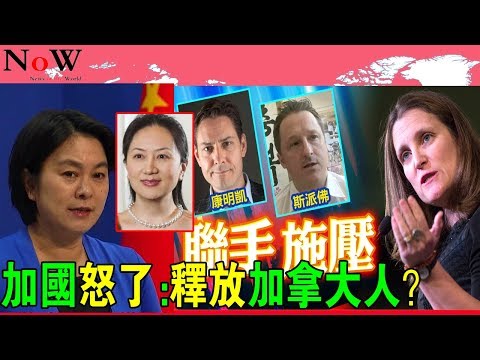 加國怒了：立即釋放兩名加拿大人！？華春瑩強硬回應：先把孟晚舟放了！他們涉嫌危害中國國家安全！