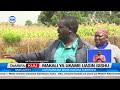 Makai ya ukame wazamisha matumaini ya mavuno ya mahindi Uasin Gishu