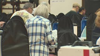 US Department of Justice to send election observers to Harris County