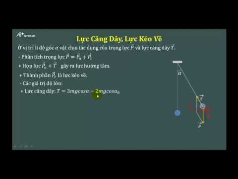 Lực căng dây của con lắc đơn