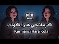 الأغنية الكردية الأصلية التي يبحث عنها الجميع 2026     كرمانجي هارا كوله