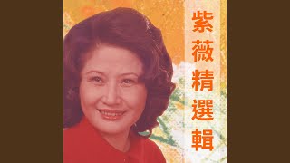 母親在何方 - 紫薇