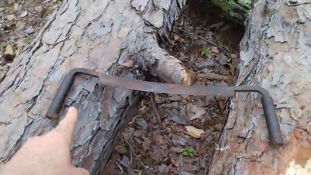 Round wood Timber framing(how to dry logs) YouTube