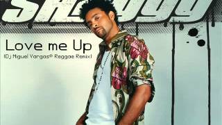 SHAGGY - Love me Up - (Dj Miguel Vargas® Reggae Remix)