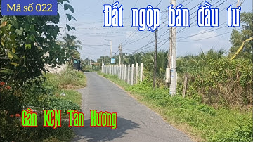 Đất giá rẻ mặt tiền đường nhựa gần KCN Tân Hương Tiền Giang - ms 022