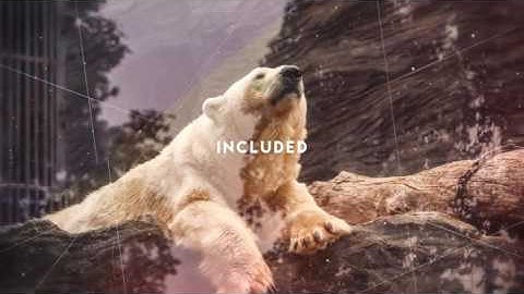 Color Slideshow. After Effects Project on Videohive.net