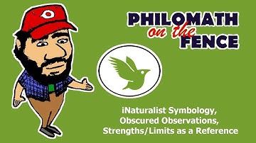 How to Read iNaturalist Maps (Color Coded Kingdoms and Obscured Observations), Research Alternatives