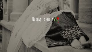 Harem da Shija💔'Karigi enakta laklamdriba' Meiraba 💔🥀Sana Ebemma